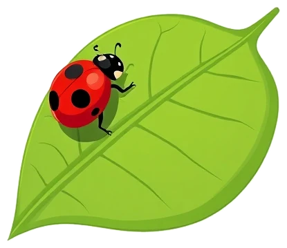 Insects coloring pages Insect coloring pages that you can print